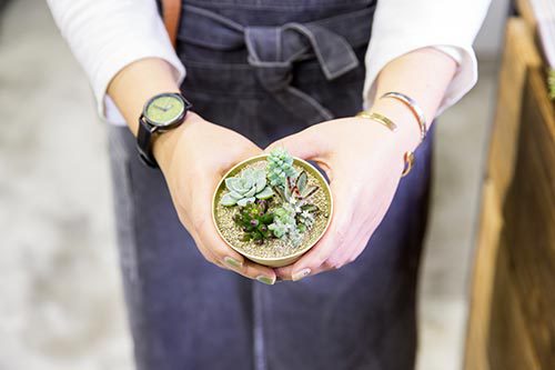 好店特搜│ 植物與日常 有肉Succulent & Gift