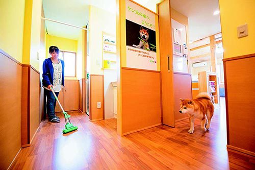 達人分享 與毛小孩共住的幸福空間