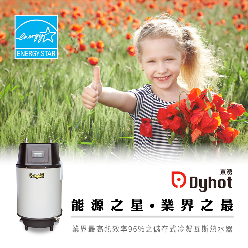 東湧20加侖高效冷凝儲存式熱水器 - 1