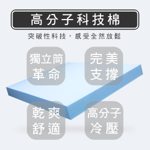 泡棉床墊推薦-i800型【龍馬名床】 - 2