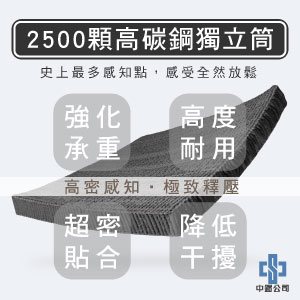 馬毛獨立筒床墊推薦-V6型【龍馬名床】 - 2