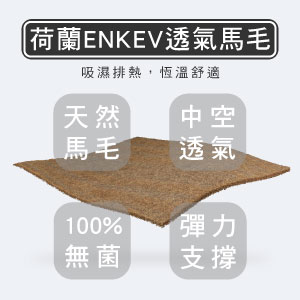 馬毛獨立筒床墊推薦-V6型【龍馬名床】 - 3