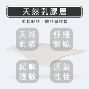 天然乳膠床墊推薦-X1型【龍馬名床】 - 3