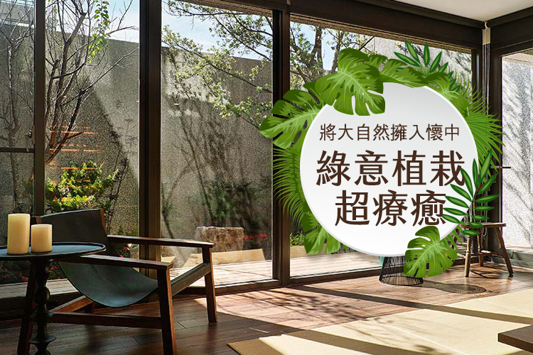 將大自然擁入懷中 綠意植栽超療癒