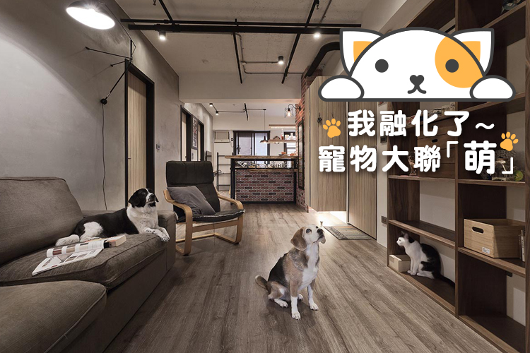 我融化了~寵物大聯「萌」