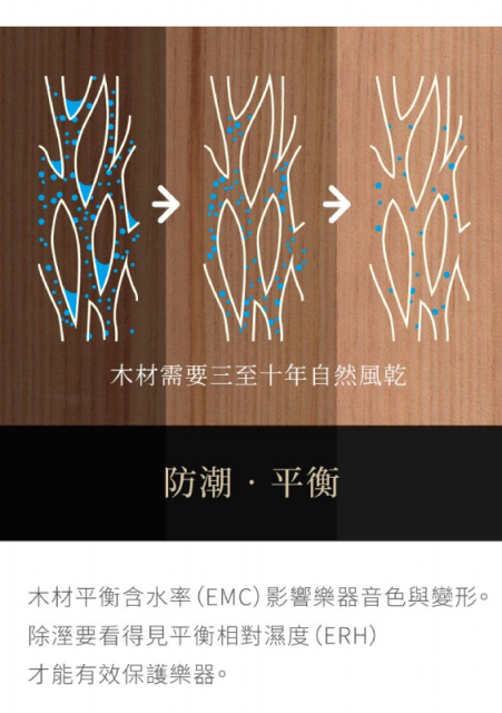 收藏家ART-126+ 小提琴中提琴專用防潮箱 - 4