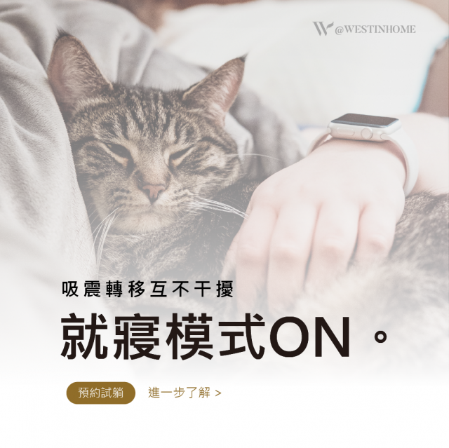 愛德華 Edward 恆溫釋壓床墊 - 3