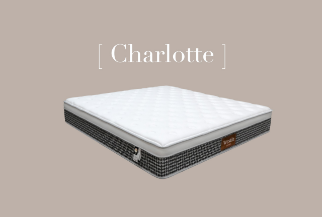 夏綠蒂 Charlotte 恆溫釋壓床墊