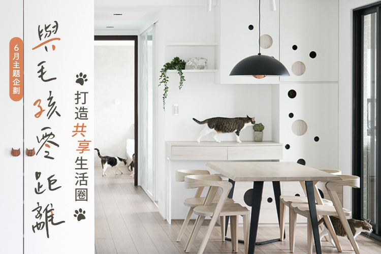 與毛孩零距離! 打造共享生活圈
