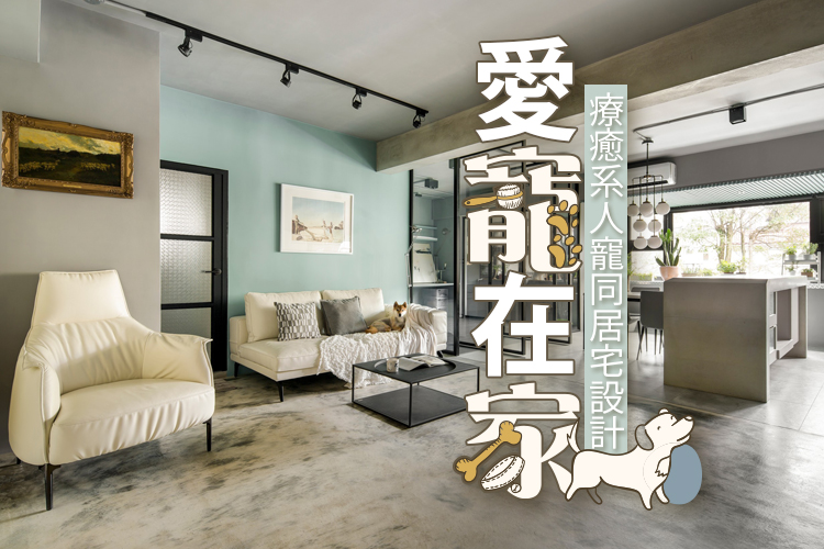 愛寵在家!療癒系人寵同居宅設計